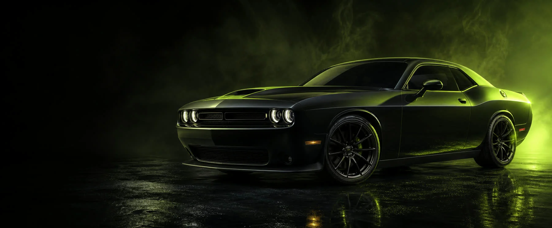Muscle Series