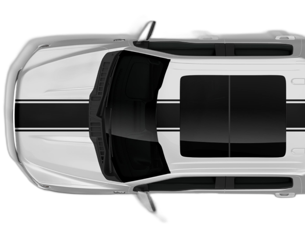 Center Rally Racing Stripes Decals Graphics for Ford F150