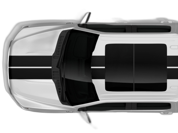 Dual rally racing stripes decals graphics compatible with Ford F150