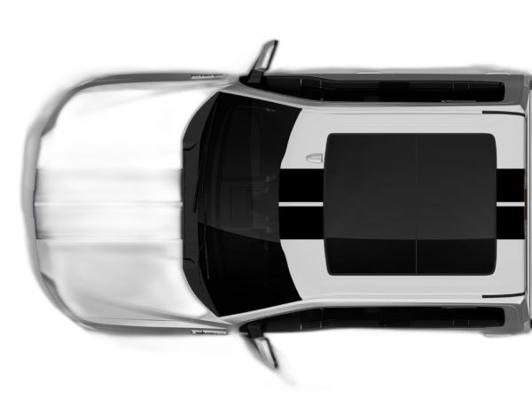 Dual Rally Racing Stripes Decals Graphics for Ford F150 2015-2020