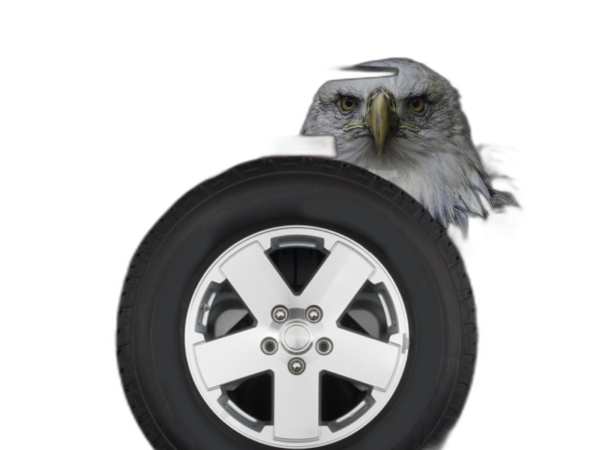 Eagle head perforated rear window decal graphics compatible with Jeep Wrangler JK