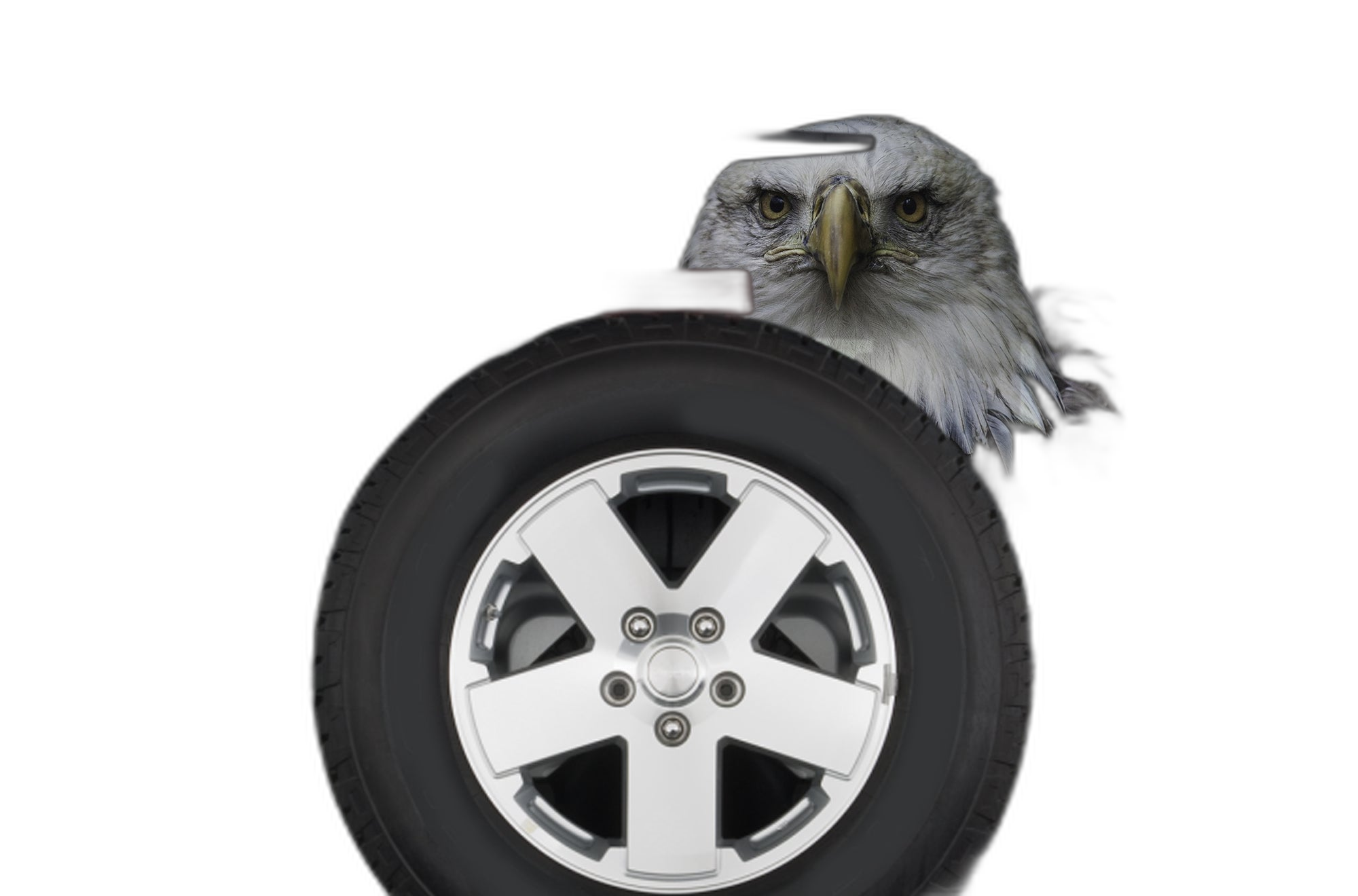 Eagle Head Perforated Rear Window Decal Graphics for Jeep Wrangler JK