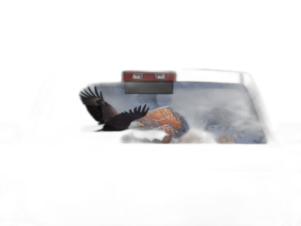 Wild Eagle Perforated Rear Window Decal Graphics for Chevrolet Silverado 2014-2018