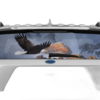 Wild Eagle Perforated Rear Window Decal Graphics for Ford Explorer