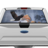 Wild Eagle Perforated Rear Window Decal Graphics for Ford F150 2015-2020