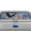 Wild Eagle Perforated Rear Window Decal Graphics for Ford Ranger 2019-2023