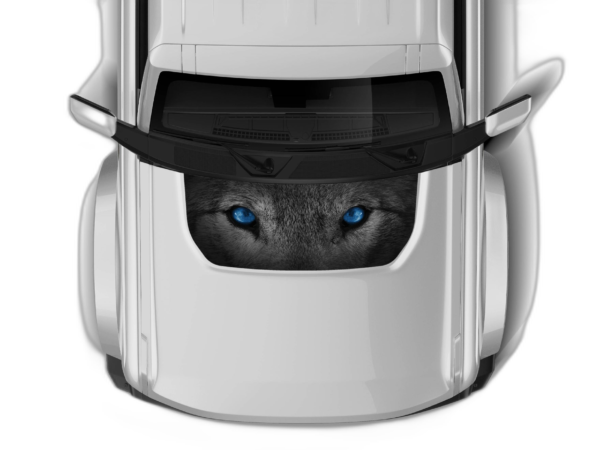 Wolf Blue Eyes Print Hood Graphics for Ford Bronco