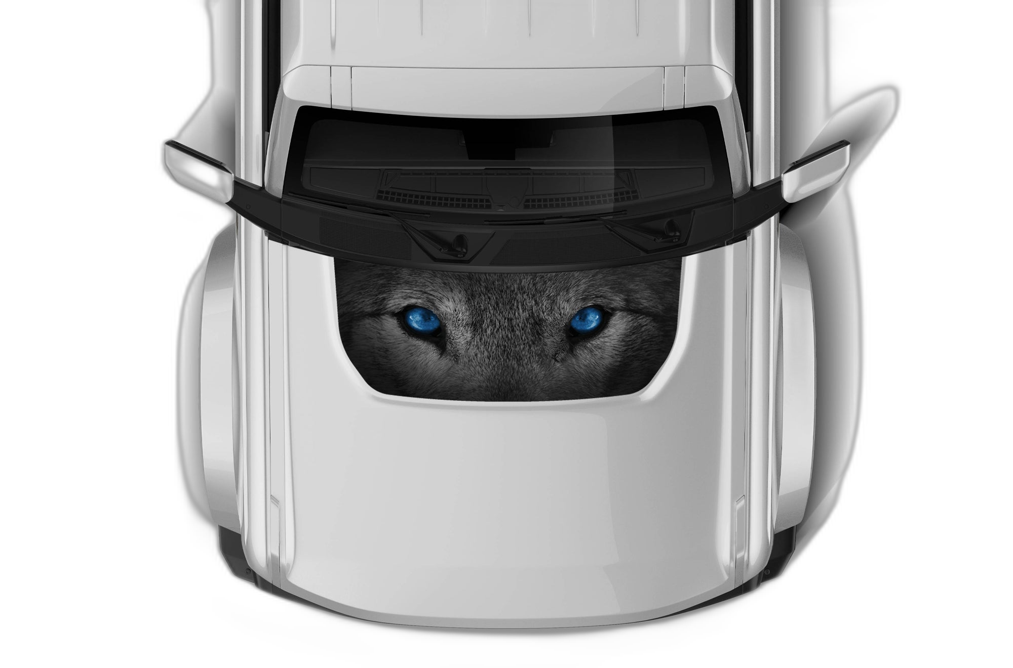 Wolf Blue Eyes Print Hood Graphics for Ford Bronco
